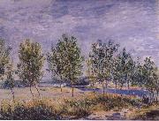 Claude Monet Poplars on a River Bank oil painting reproduction